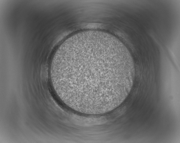 X0000080790016200701021236