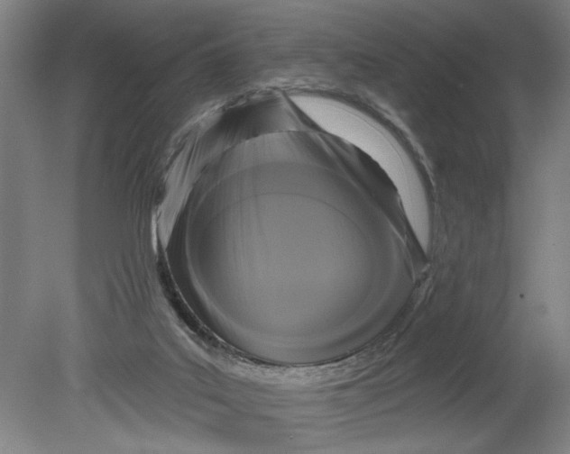 X0000080790019200701021236