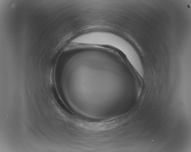 X0000080790023200701021236