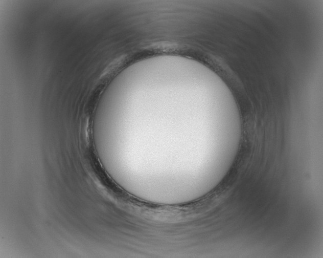 X0000080790024200701021236