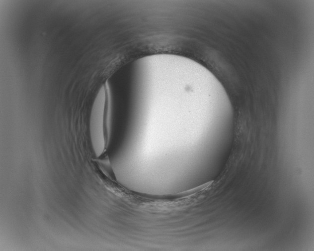 X0000080790025200701021236