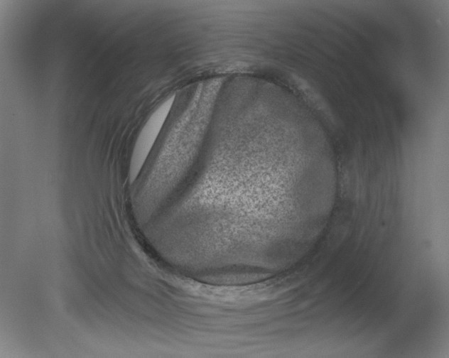 X0000080790026200701021236
