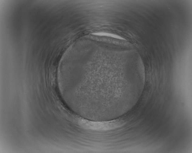 X0000080790030200701021235