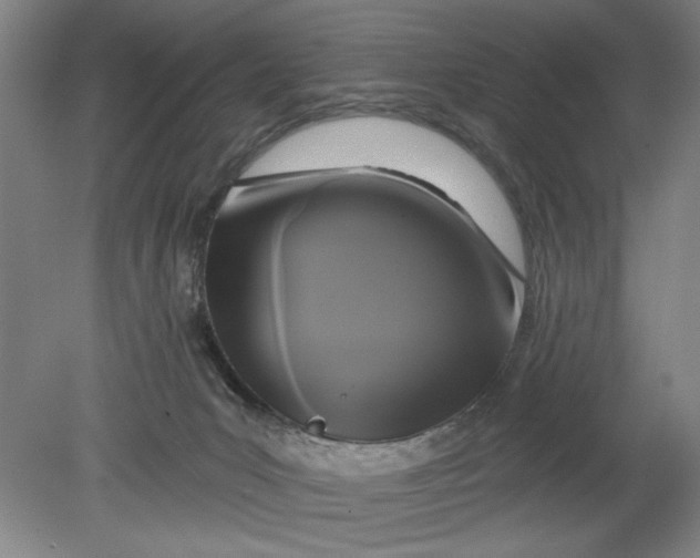 X0000080790031200701021235