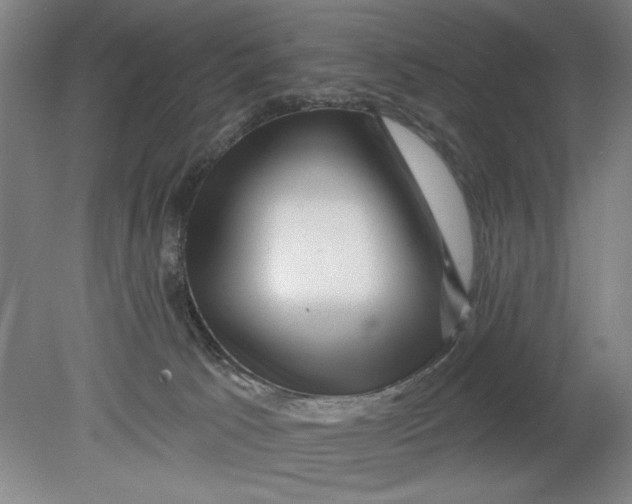 X0000080790033200701021235