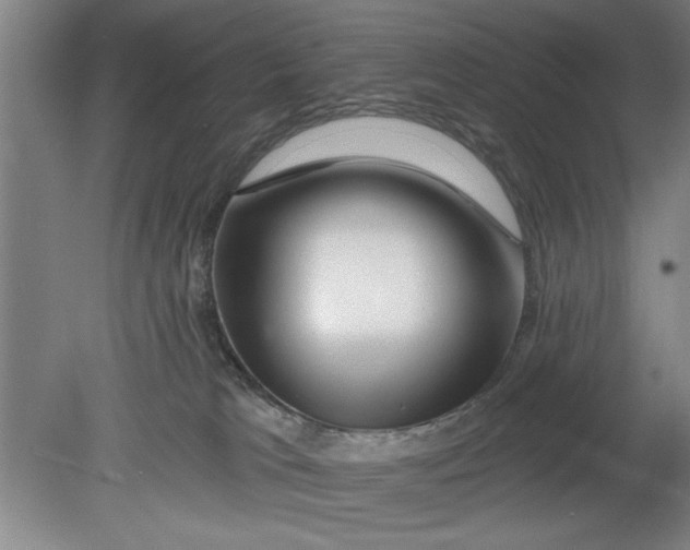 X0000080790037200701021235