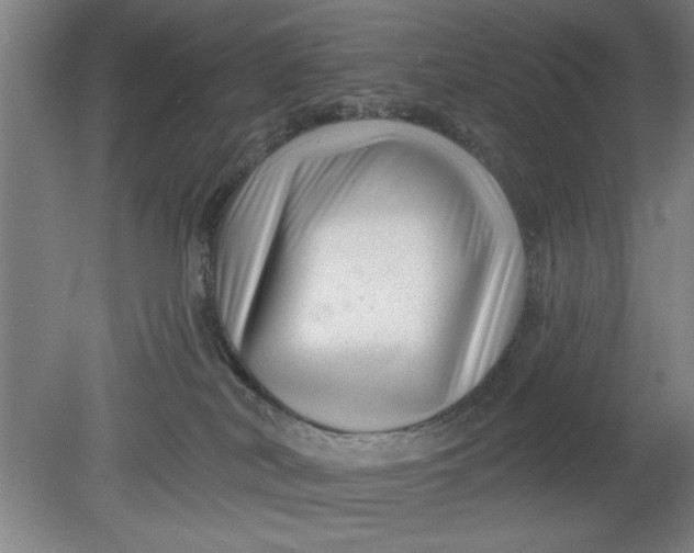 X0000080790038200701021235