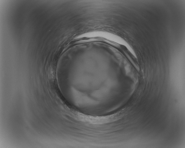 X0000080790039200701021235
