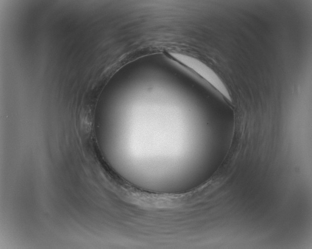 X0000080790040200701021235