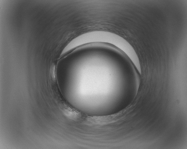X0000080790041200701021235