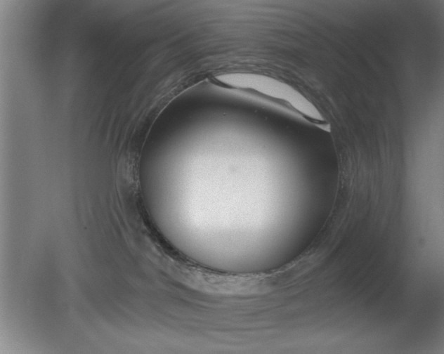 X0000080790044200701021235