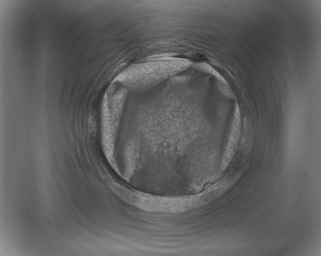 X0000080790048200701021235