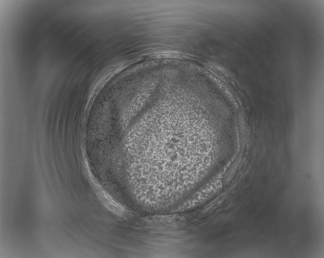 X0000080790049200701021234