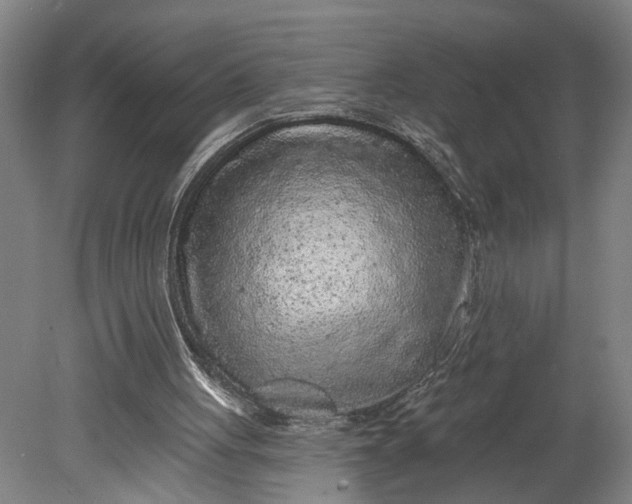 X0000080790051200701021234