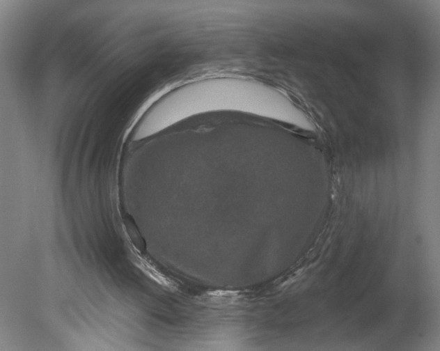 X0000080790052200701021234