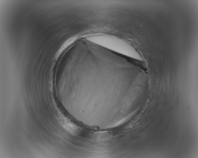 X0000080790054200701021234