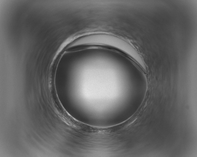 X0000080790056200701021234