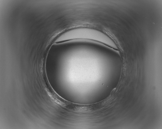 X0000080790058200701021234