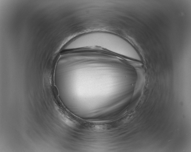 X0000080790060200701021235