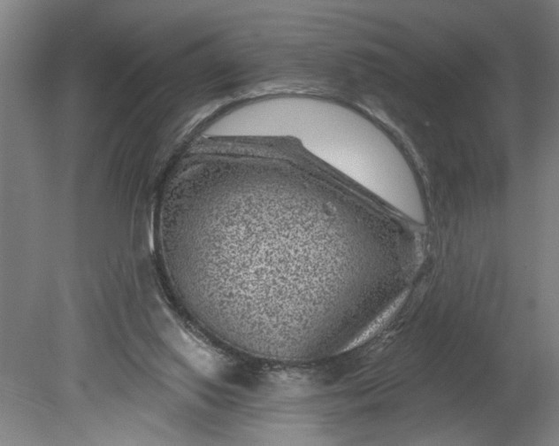 X0000080790062200701021235