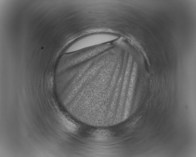 X0000080790063200701021235