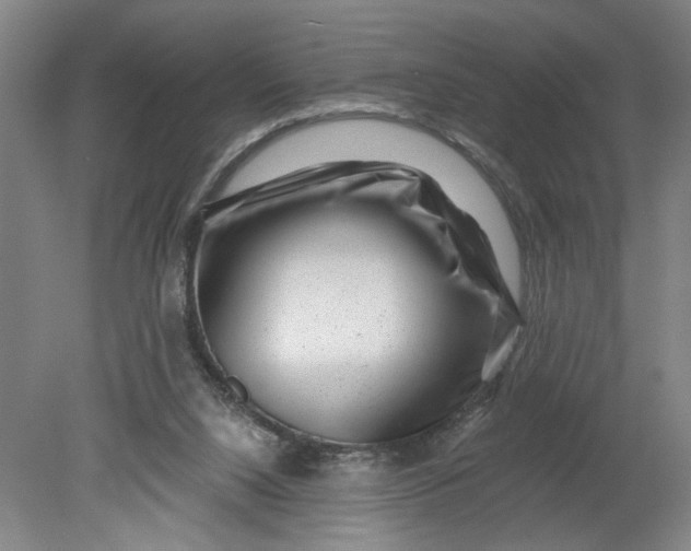 X0000080790064200701021235