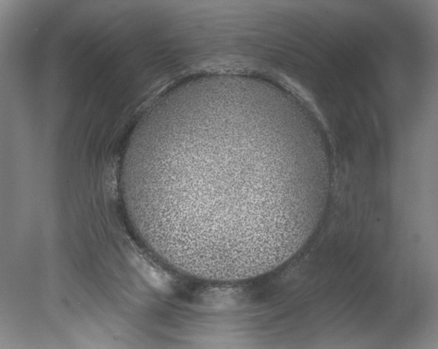X0000080790065200701021235
