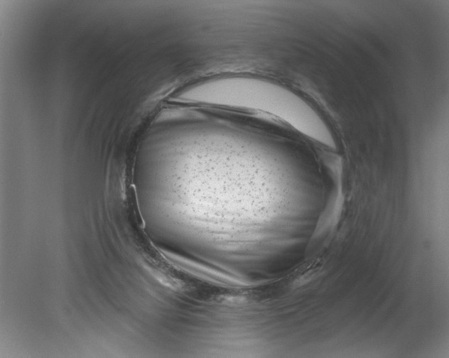X0000080790068200701021235