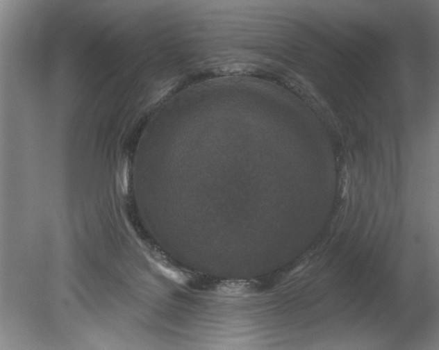 X0000080790076200701021235