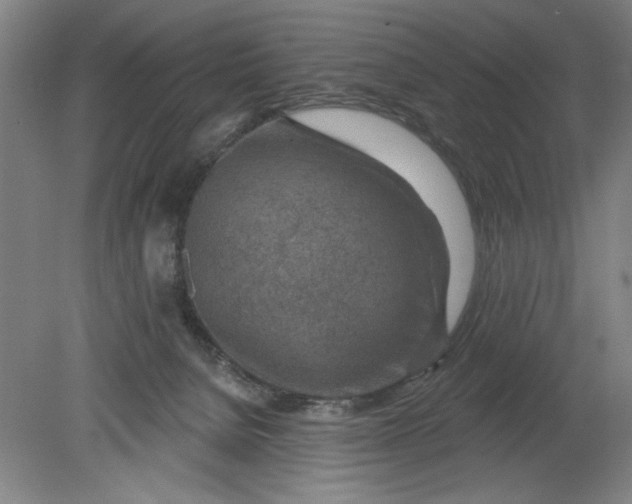 X0000080790080200701021235