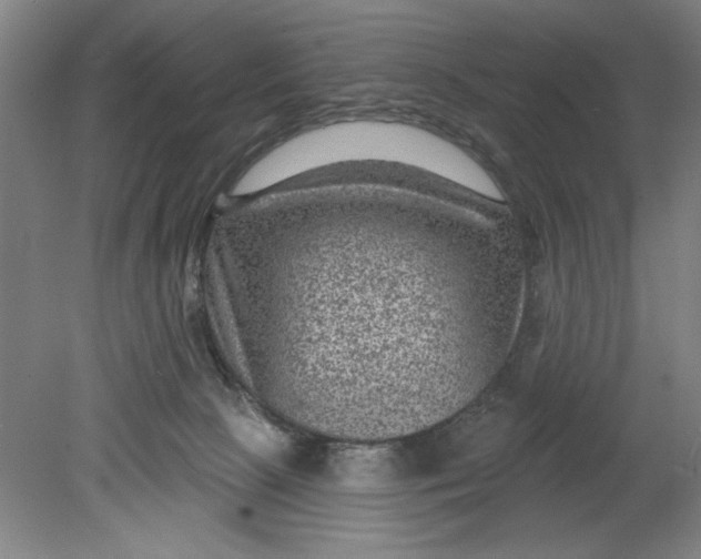 X0000080790081200701021235