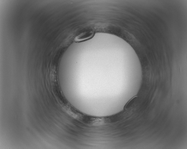 X0000080790083200701021235