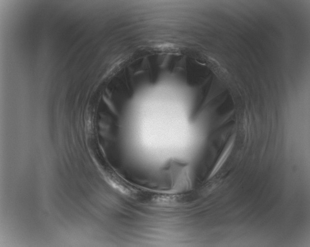 X0000080790084200701021235