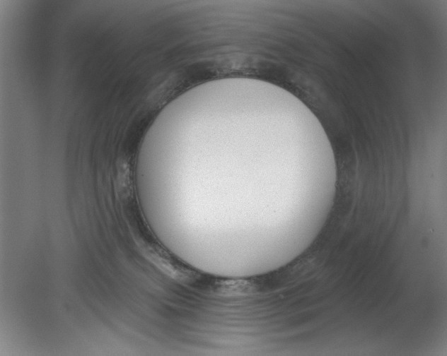 X0000080790087200701021235