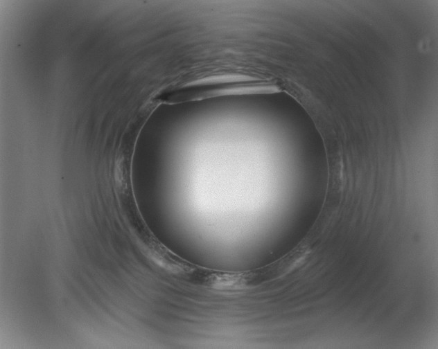 X0000080790088200701021235
