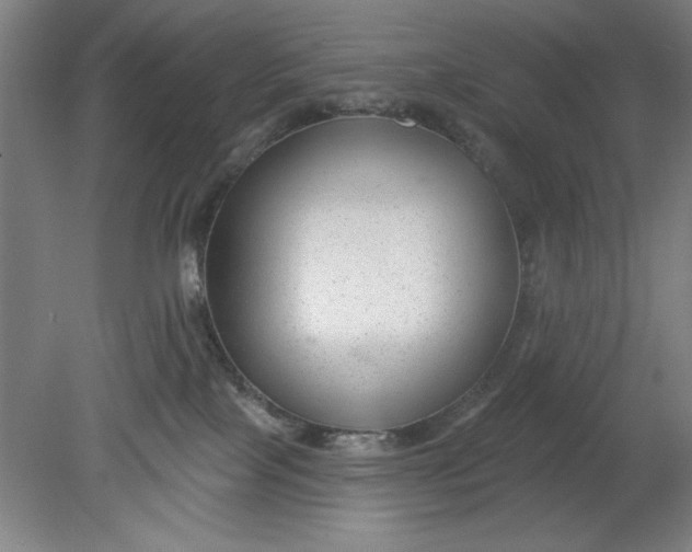 X0000080790089200701021235