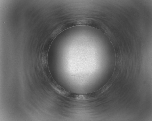 X0000080790091200701021235