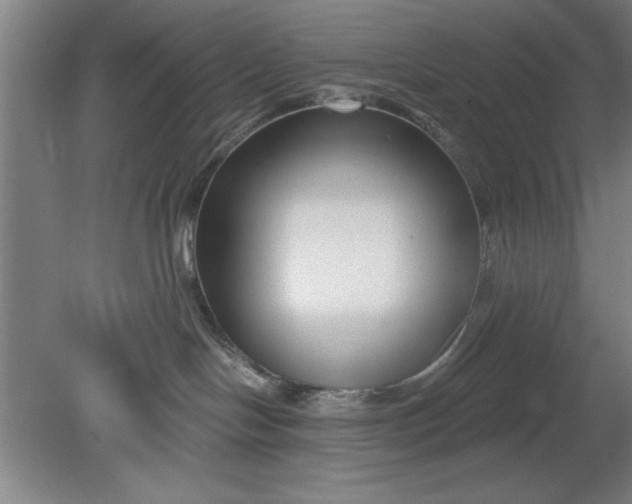 X0000080790094200701021235