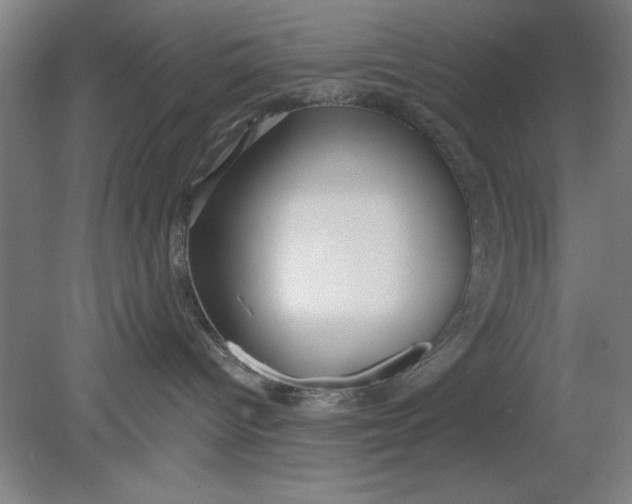 X0000080790096200701021235