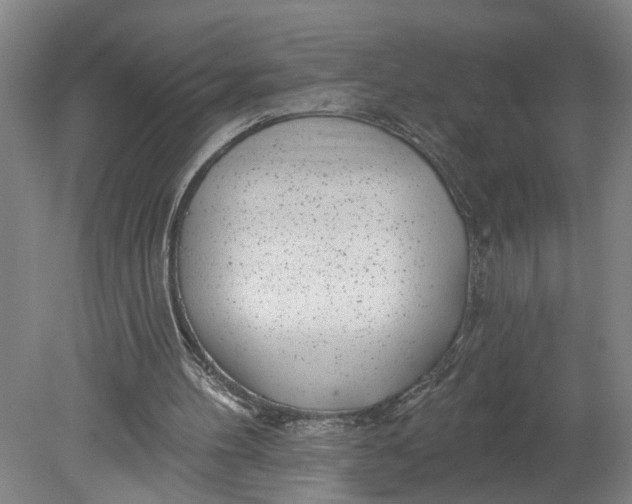 X0000080790100200701021234