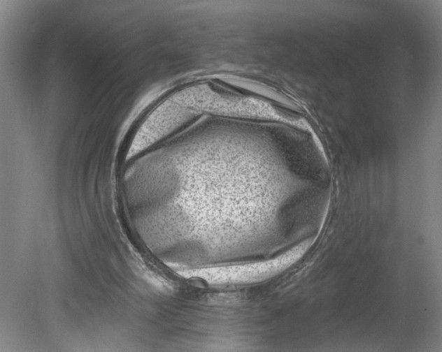 X0000080790102200701021234