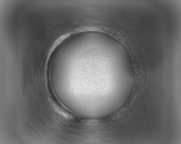 X0000080790104200701021234