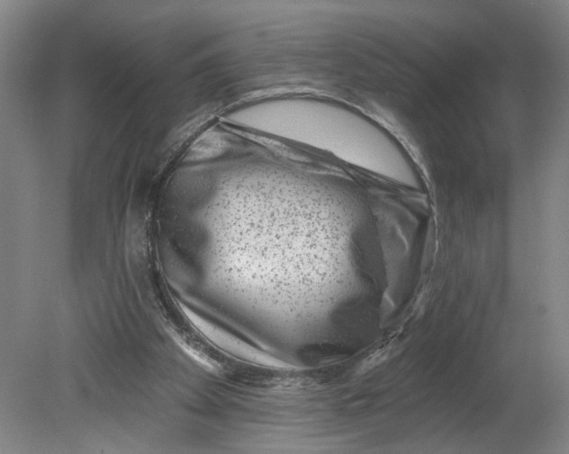 X0000080790105200701021234