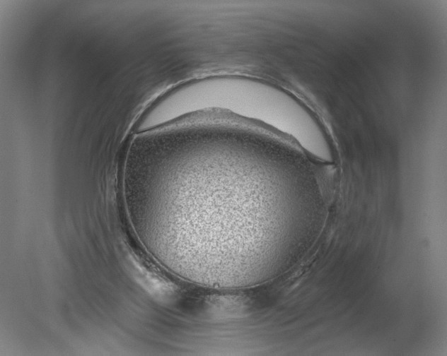 X0000080790107200701021234