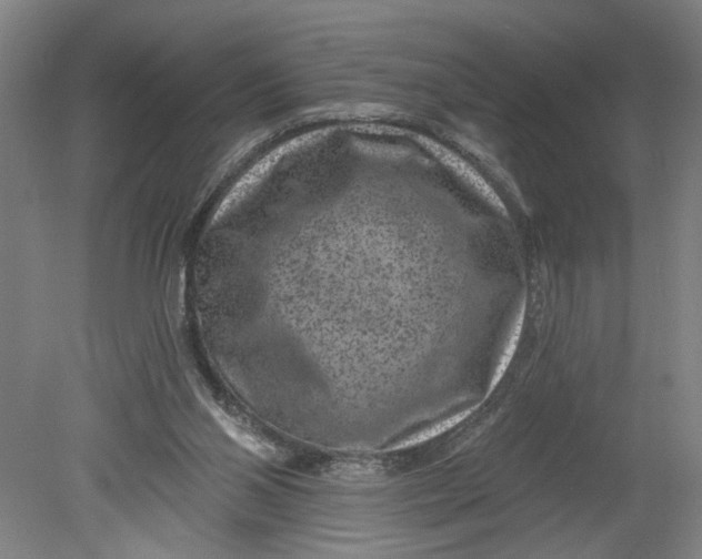X0000080790110200701021234