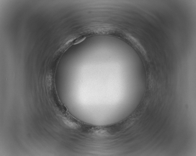 X0000080790113200701021234
