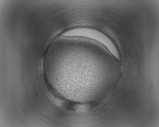 X0000080790115200701021234