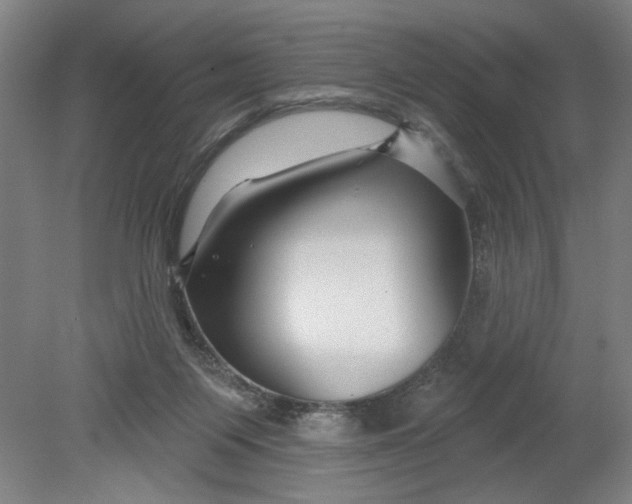 X0000080790119200701021234