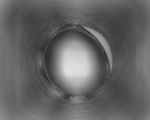 X0000080790129200701021234