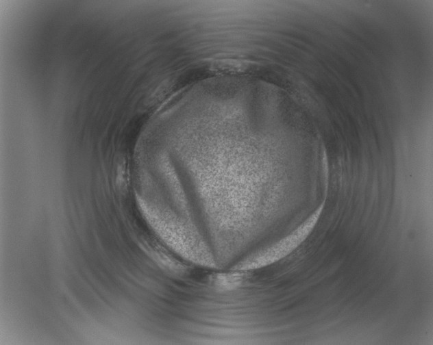 X0000080790134200701021234